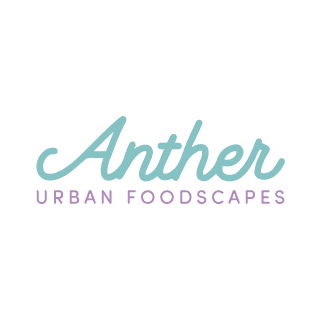 Anther